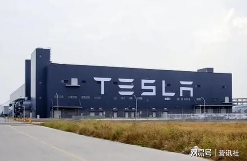 电动车寒流下的号角 特斯拉空头重集结，悦云科技暗流涌动